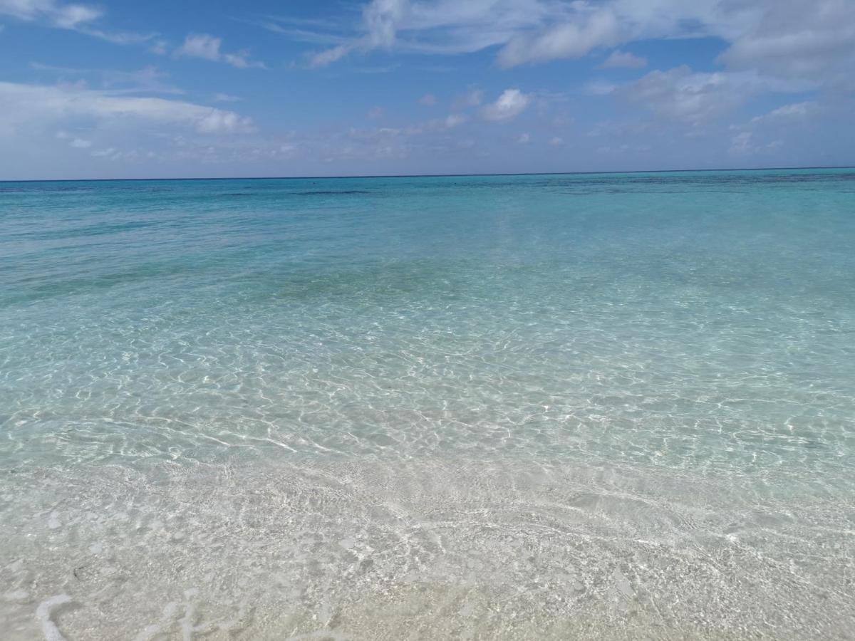 Aqua Oasis Ξενοδοχείο Thoddoo Εξωτερικό φωτογραφία